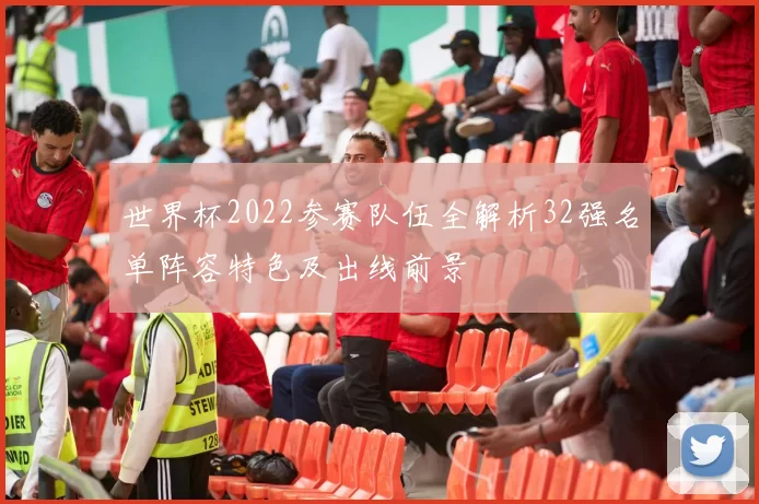 世界杯2022参赛队伍全解析32强名单阵容特色及出线前景