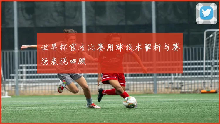 世界杯官方比赛用球技术解析与赛场表现回顾