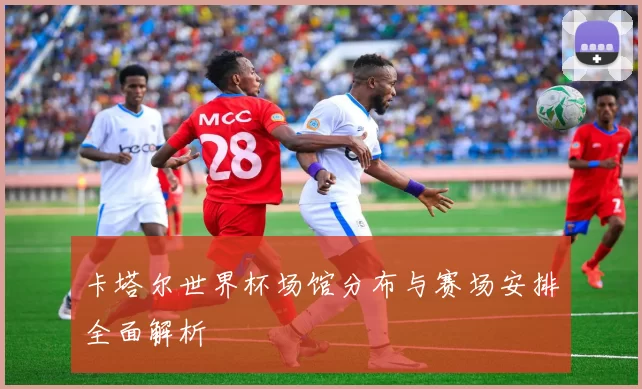 卡塔尔世界杯场馆分布与赛场安排全面解析