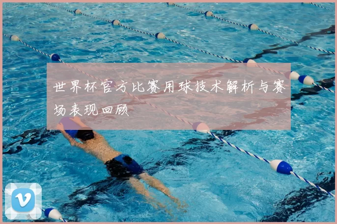世界杯官方比赛用球技术解析与赛场表现回顾